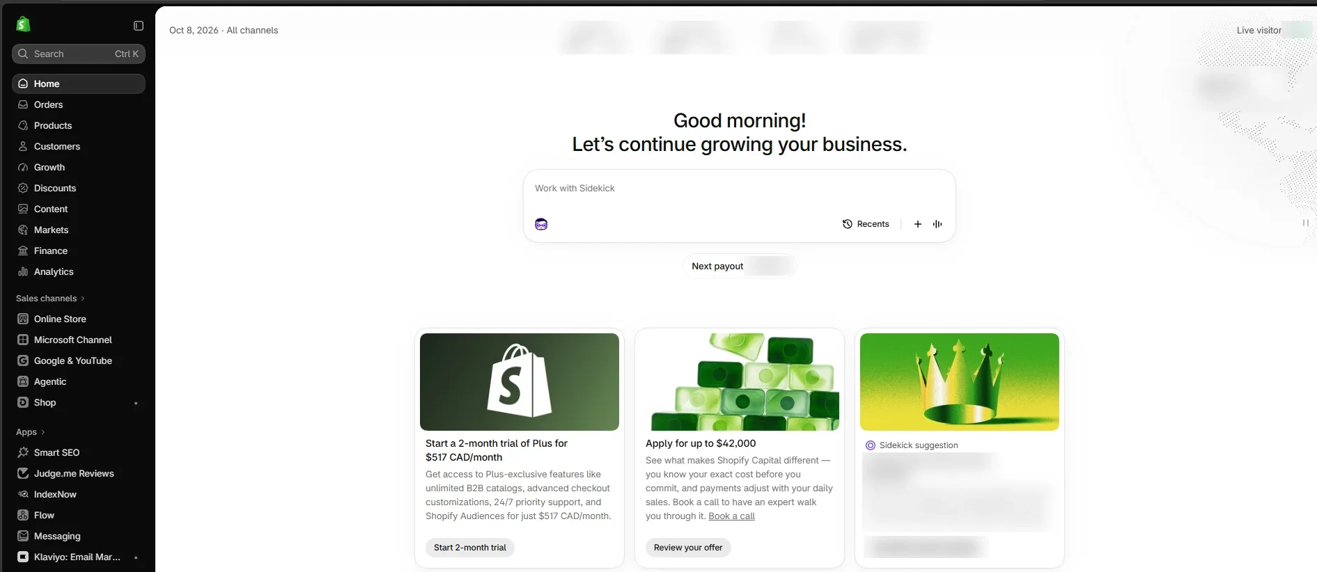 Shopify admin home screen with the Sidekick AI assistant, sales channels and installed apps such as Judge.me Reviews, Flow and Klaviyo, with store figures blurred